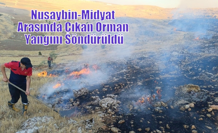 Nusaybin-Midyat Arasında Çıkan Orman Yangını Söndürüldü