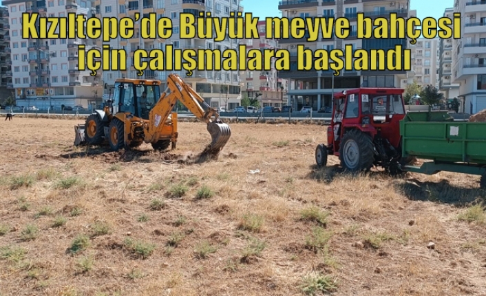 Kızıltepe’de Büyük meyve bahçesi için çalışmalara başlandı