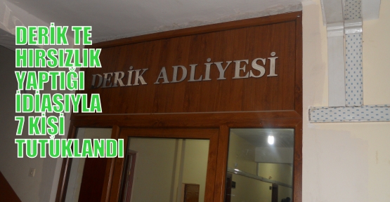 DERİK TE HIRSIZLIK  YAPTIĞI  İDİASIYLA  7 KİŞİ TUTUKLANDI