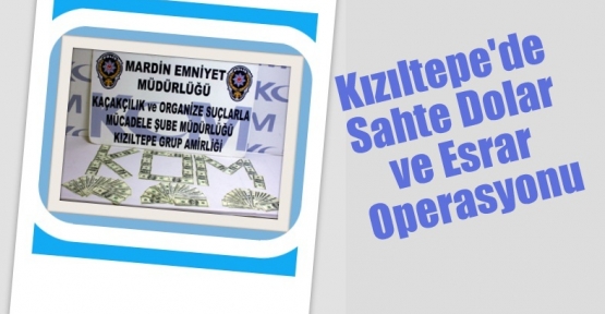 Kızıltepe'de Sahte Dolar ve Esrar Operasyonu