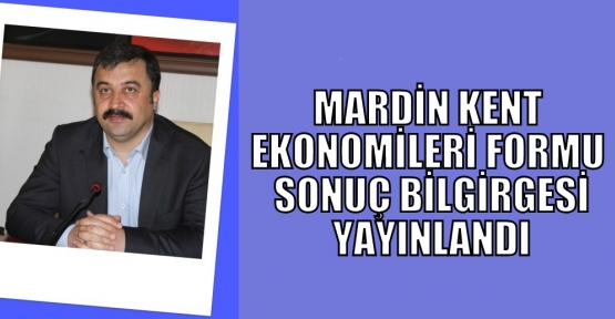 MARDİN KENT EKONOMİLERİ FORMU SONUÇ BİLGİRGESİ