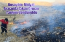 Nusaybin-Midyat Arasında Çıkan Orman Yangını...