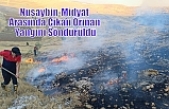 Nusaybin-Midyat Arasında Çıkan Orman Yangını Söndürüldü