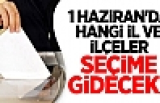 1 Haziran'da Hangi İl ve İlçeler Seçime Gidecek?