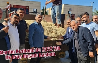 Mardin Kızıltepe’de 2022 Yılı İlk Arpa Hasadı...