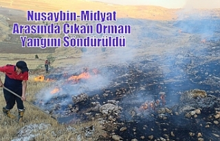 Nusaybin-Midyat Arasında Çıkan Orman Yangını...