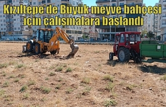 Kızıltepe’de Büyük meyve bahçesi için çalışmalara başlandı